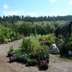 Blue Moon Garden and Nursery