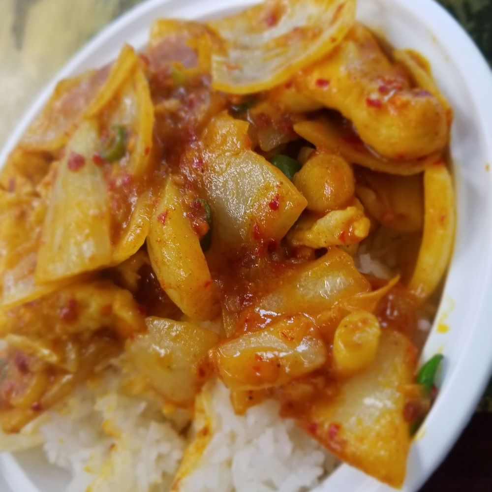 Fortune East - Curry chicken - Chinese Near Me - New Hyde Park, New York