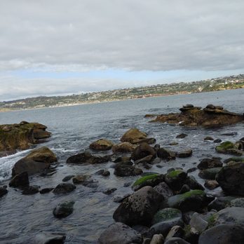 Children's Pool - Beaches Near Me - La Jolla, California Children's Pool - Beaches Near Me - La Jolla, California