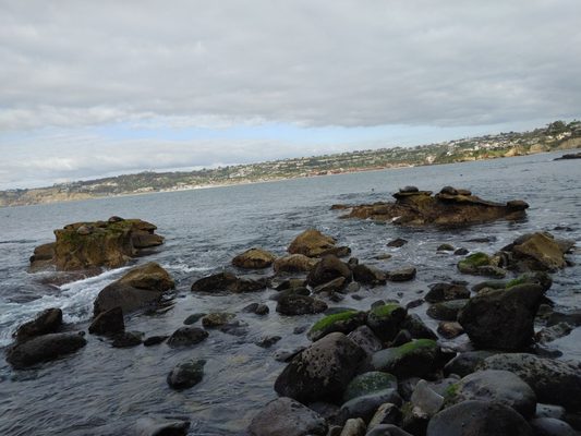 Children's Pool La Jolla by null