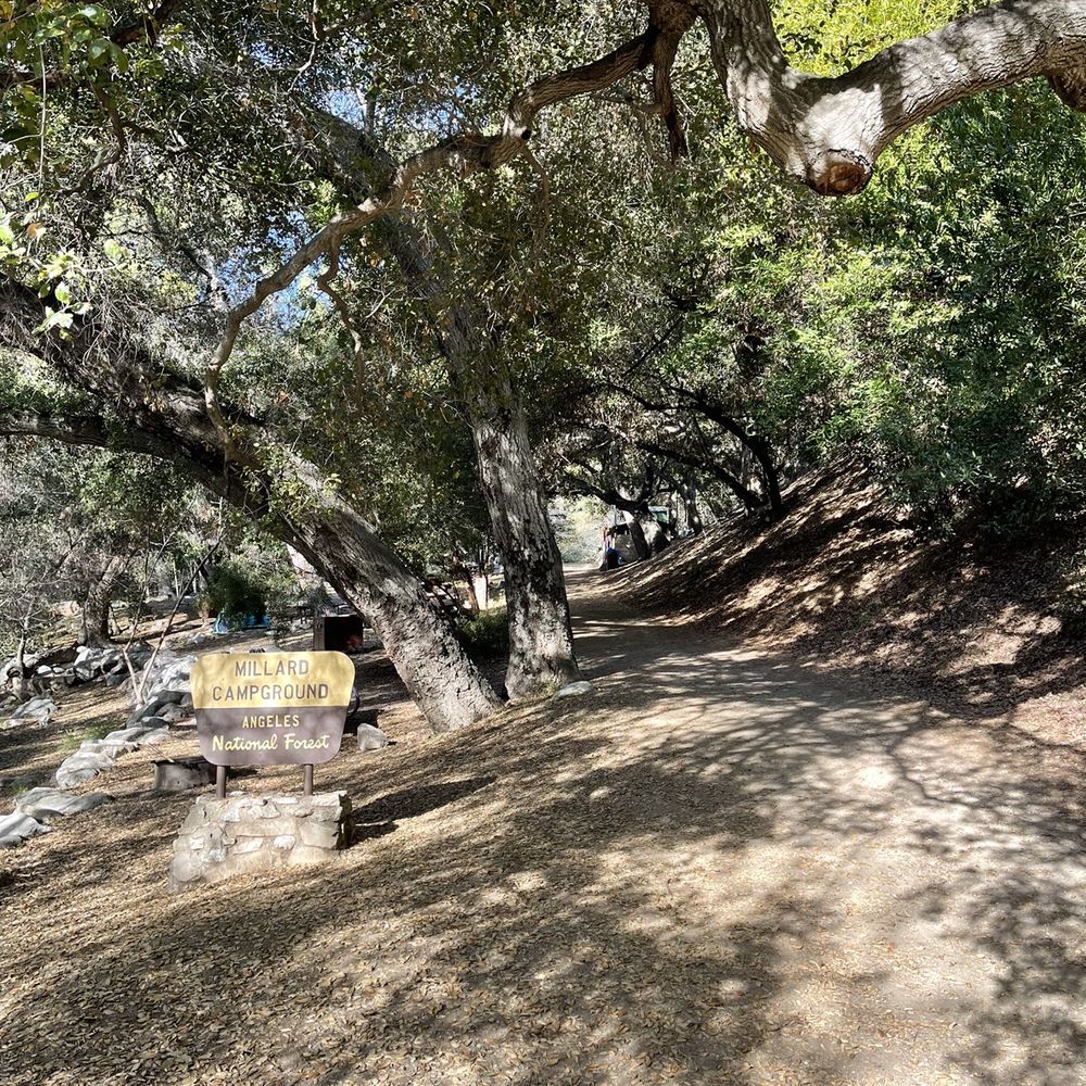 Millard Canyon - Campsite - Parks Near Me - Altadena, California Millard Canyon - Campsite - Parks Near Me - Altadena, California