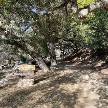 Millard Canyon - Campsite - Parks Near Me - Altadena, California Millard Canyon - Campsite - Parks Near Me - Altadena, California
