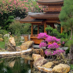 View of the gardens!