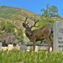 Photo of Fort Douglas Military Cemetery