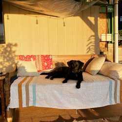 Kauai Pet Boarding & Grooming