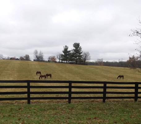 Mill Ridge Farm by null