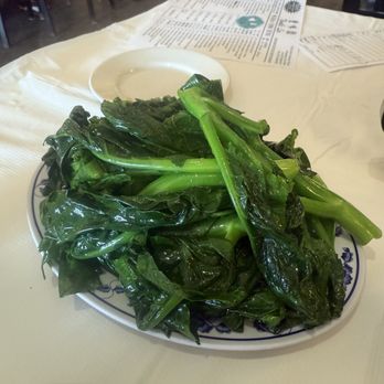 Noodle Wong - Chinese Broccoli - Dim Sum Near Me - Parsippany-Troy Hills, New Jersey Noodle Wong - Chinese Broccoli - Dim Sum Near Me - Parsippany-Troy Hills, New Jersey