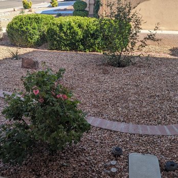 Trees R' Us - After - Tree Services Near Me - Albuquerque, New Mexico
