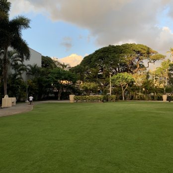 Pacifica Honolulu - Stryding Around the Dog Park - Real Estate Services Near Me - Honolulu, Hawaii Pacifica Honolulu - Stryding Around the Dog Park - Real Estate Services Near Me - Honolulu, Hawaii