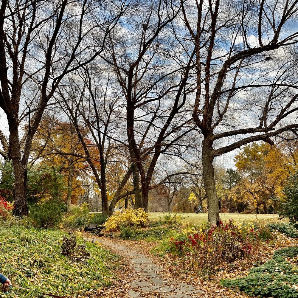 Lafayette Park - Parks Near Me - Saint Louis, Missouri Lafayette Park - Parks Near Me - Saint Louis, Missouri