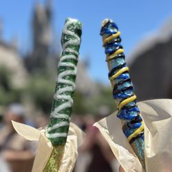 The Wizarding World of Harry Potter - Slytherin and Ravenclaw IG: @ammysalamii