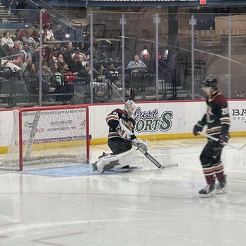 Tucson Roadrunners Hockey - Amateur Sports Teams Near Me - Tucson, Arizona