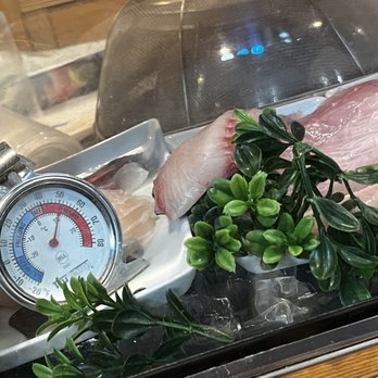 Sushi Uesugi - Fish not so bing chilling at +50F temperature - Sushi Bars Near Me - Brooklyn, New York Sushi Uesugi - Fish not so bing chilling at +50F temperature - Sushi Bars Near Me - Brooklyn, New York