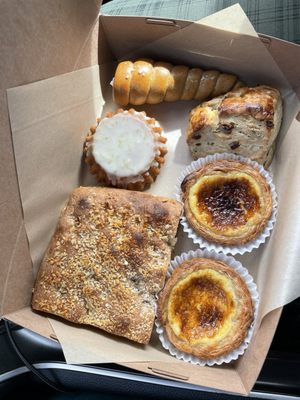 Year of the Snake by null