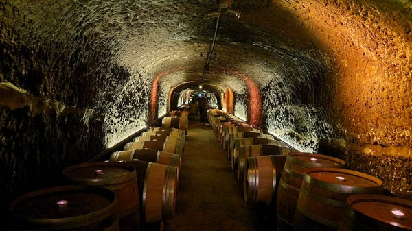 Del Dotto Historic Winery & Caves by null
