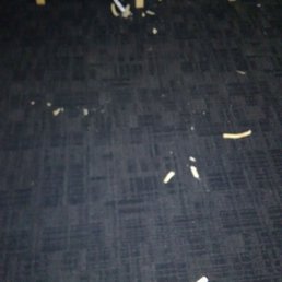 Does anyone ever sweep or vacuum?