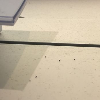 AT&T Store - Dust and lint on the display counters ... at first I thought they were ants - Mobile Phones Near Me - Alpharetta, Georgia
