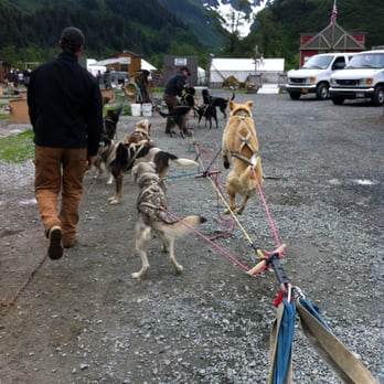 Gold Rush Dog Tours - Pet Services Near Me - Juneau, Alaska