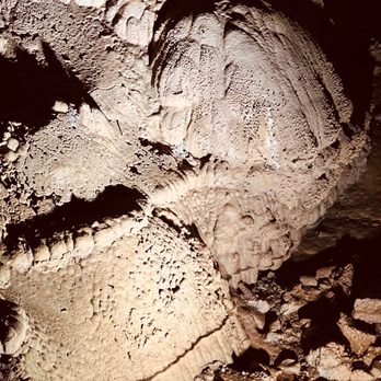Lake Shasta Caverns - Landmarks & Historical Buildings Near Me - Lakehead, California