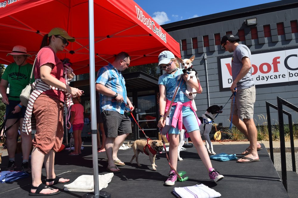 Woof Central - pet boarding facility in Richfield, MN
