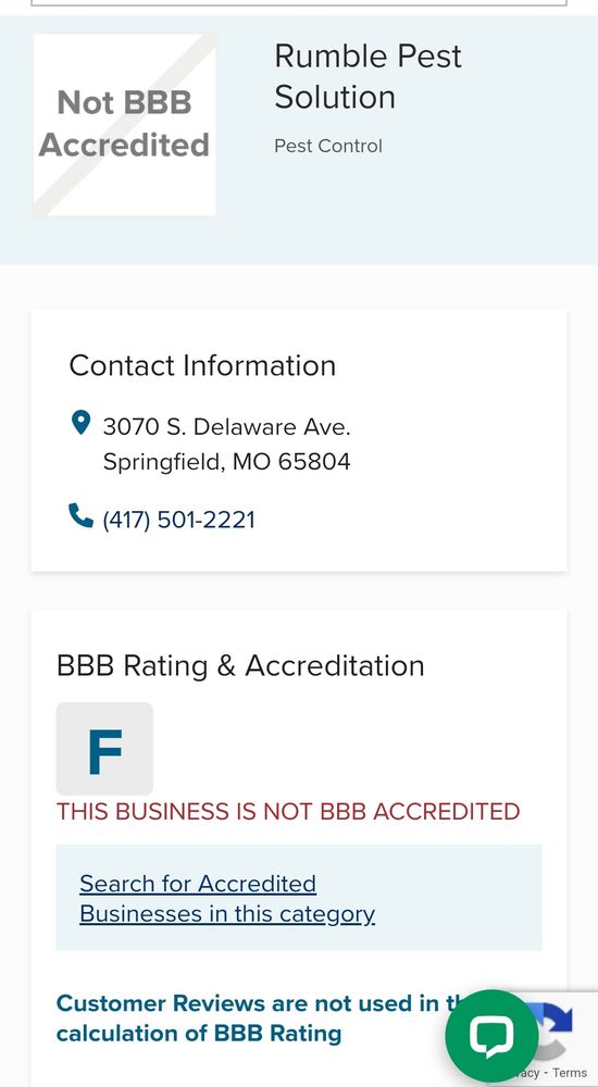 Rumble Pest Solutions Reviews