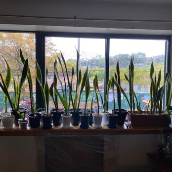 Empire Window Cleaning - Window Washing Near Me - Queens, New York