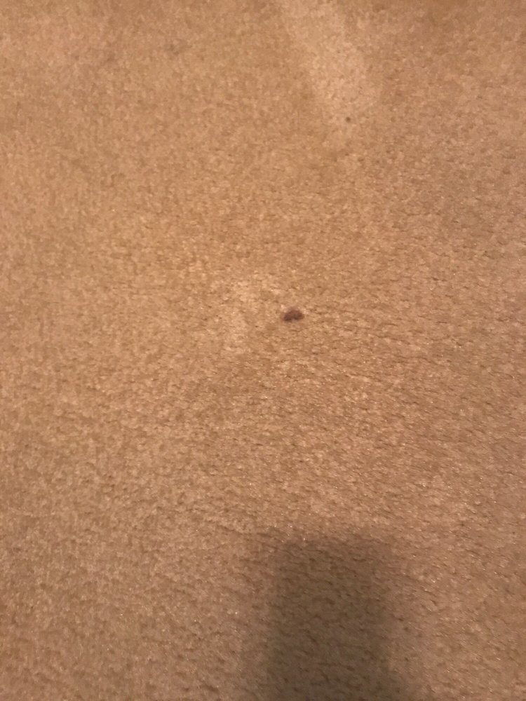 SAVE A LOT CARPET & UPHOLSTERY CLEANING Updated October 2024 10