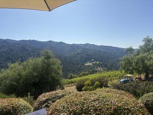 Domaine Eden by null
