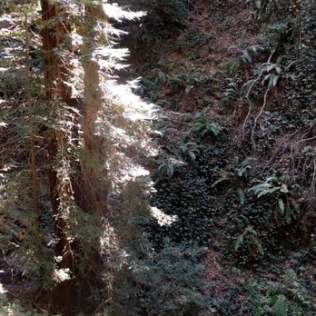 Joaquin Miller Park - Parks Near Me - Oakland, California Joaquin Miller Park - Parks Near Me - Oakland, California