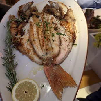 Serea Coastal Cuisine - While Snapper Wood Roasted - Seafood Near Me - Coronado, California Serea Coastal Cuisine - While Snapper Wood Roasted - Seafood Near Me - Coronado, California