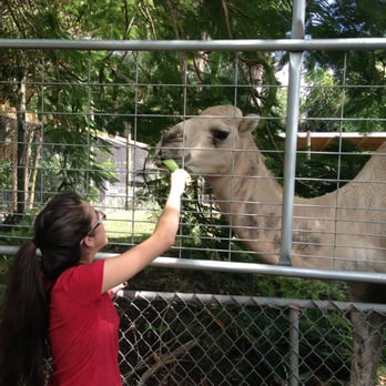 Everglades Outpost - Zoos Near Me - Homestead, Florida