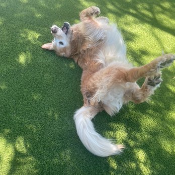 GTP Design & Build - Landscaping Near Me - Spring Valley, California