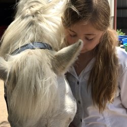Ken Caryl Equestrian Center