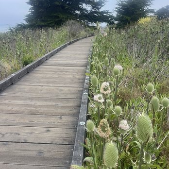 Blue Dolphin Inn - Beautiful boardwalk right across the street - Hotels Near Me - Cambria, California