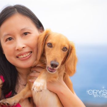 Crystal R Photography - Pet Photography Near Me Crystal R Photography - Pet Photography Near Me