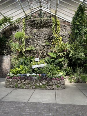 Anna Scripps Whitcomb Conservatory by null