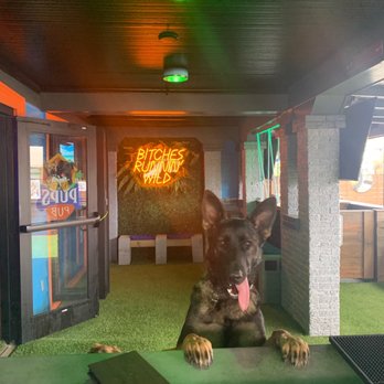 Pups Pub - Dog Parks Near Me - Tampa, Florida Pups Pub - Dog Parks Near Me - Tampa, Florida