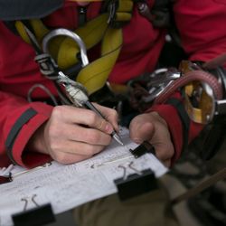 Daniel Hovarter Tree Service - Free Estimates from Certified Arborists