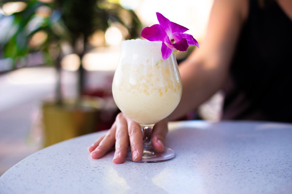 the wet bar swimwear