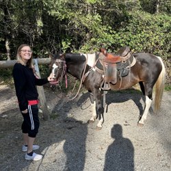 Equine Escapes - Horse