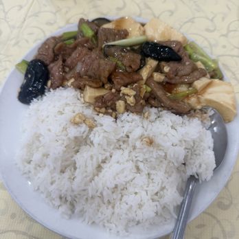 New Ming's - Tofu and beef rice - Chinese Near Me - San Bruno, California New Ming's - Tofu and beef rice - Chinese Near Me - San Bruno, California