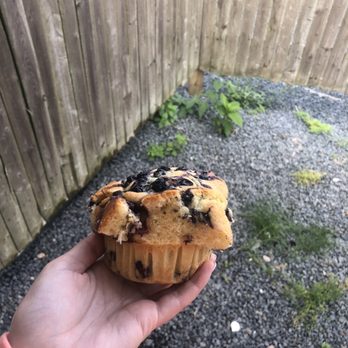 Woolfie's Bakery - Blueberry muffin - Bakeries Near Me - Dennis Port, Massachusetts