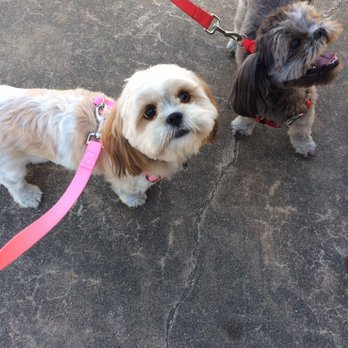 Lynn Gripon Park - Johnny Cash and June patiently waiting for the ribbon cutting. - Parks Near Me - League City, Texas Lynn Gripon Park - Johnny Cash and June patiently waiting for the ribbon cutting. - Parks Near Me - League City, Texas