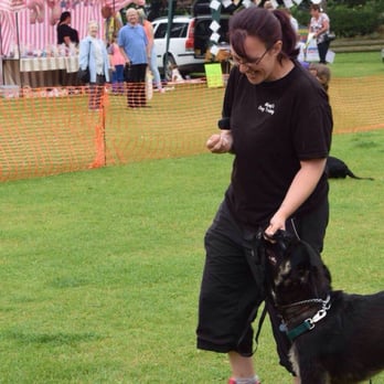 Miyagis Dog Training - Pet Training Near Me - Burgh Le Marsh, LIN