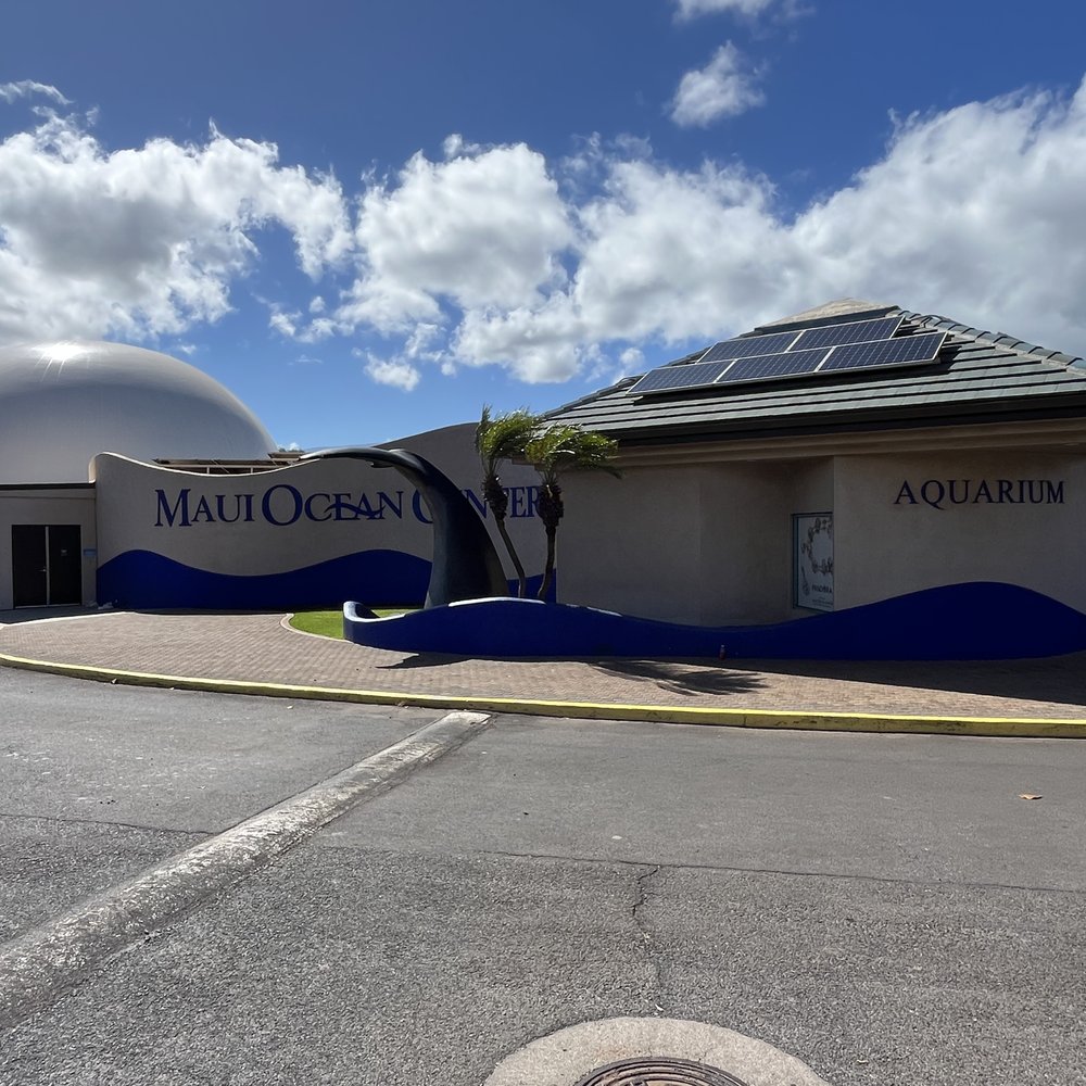 Maui Ocean Center - Aquariums Near Me - Wailuku, Hawaii Maui Ocean Center - Aquariums Near Me - Wailuku, Hawaii
