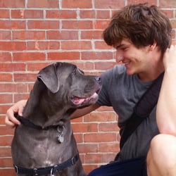 Julian's Dog Walking