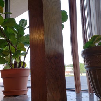 Family Table Restaurant - Lots of live plants. - American Near Me - Milwaukee, Wisconsin Family Table Restaurant - Lots of live plants. - American Near Me - Milwaukee, Wisconsin