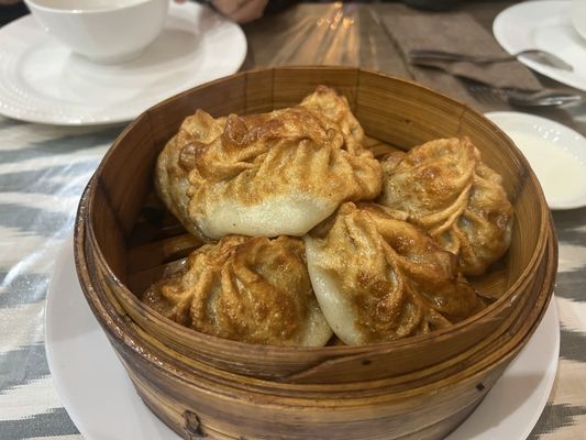 Faiza Chicago by null