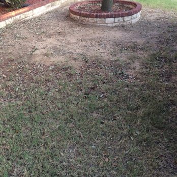 SodScapes Texas - Before - Landscaping Near Me - Lewisville, Texas SodScapes Texas - Before - Landscaping Near Me - Lewisville, Texas