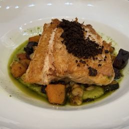 Salmon